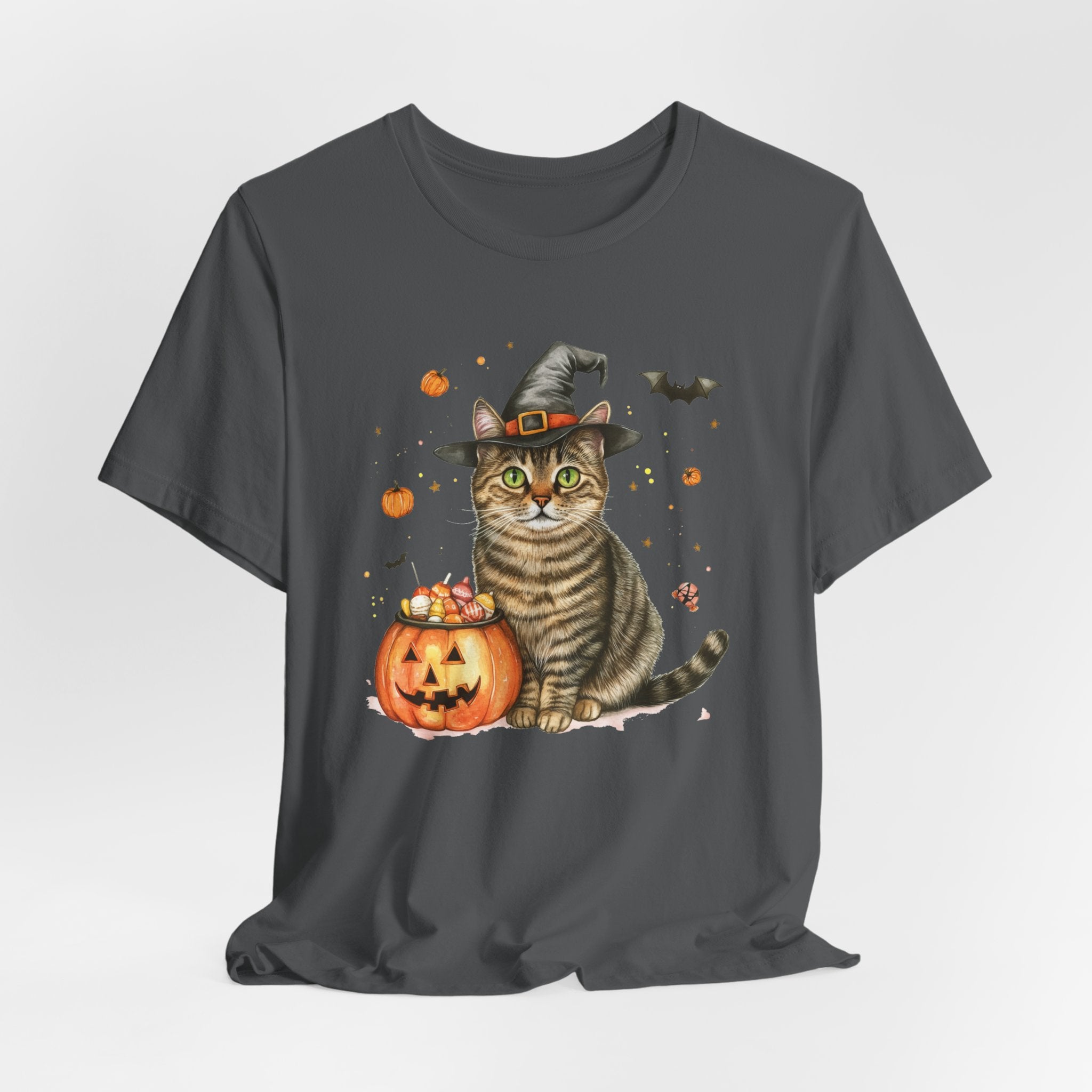 Shorthair Grey Tabby Cat Bewitched Tee