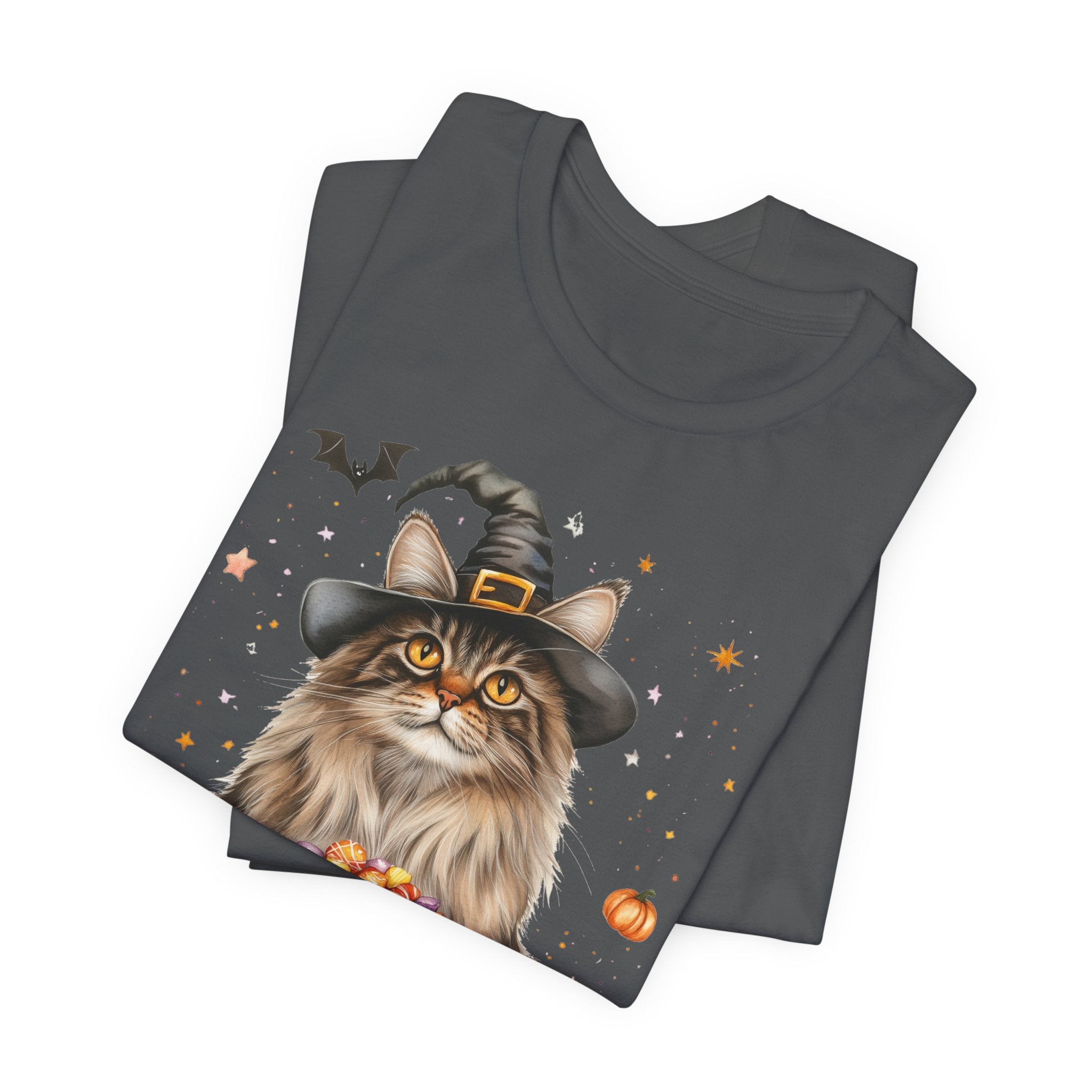 Maine Coon Cat Bewitched Tee