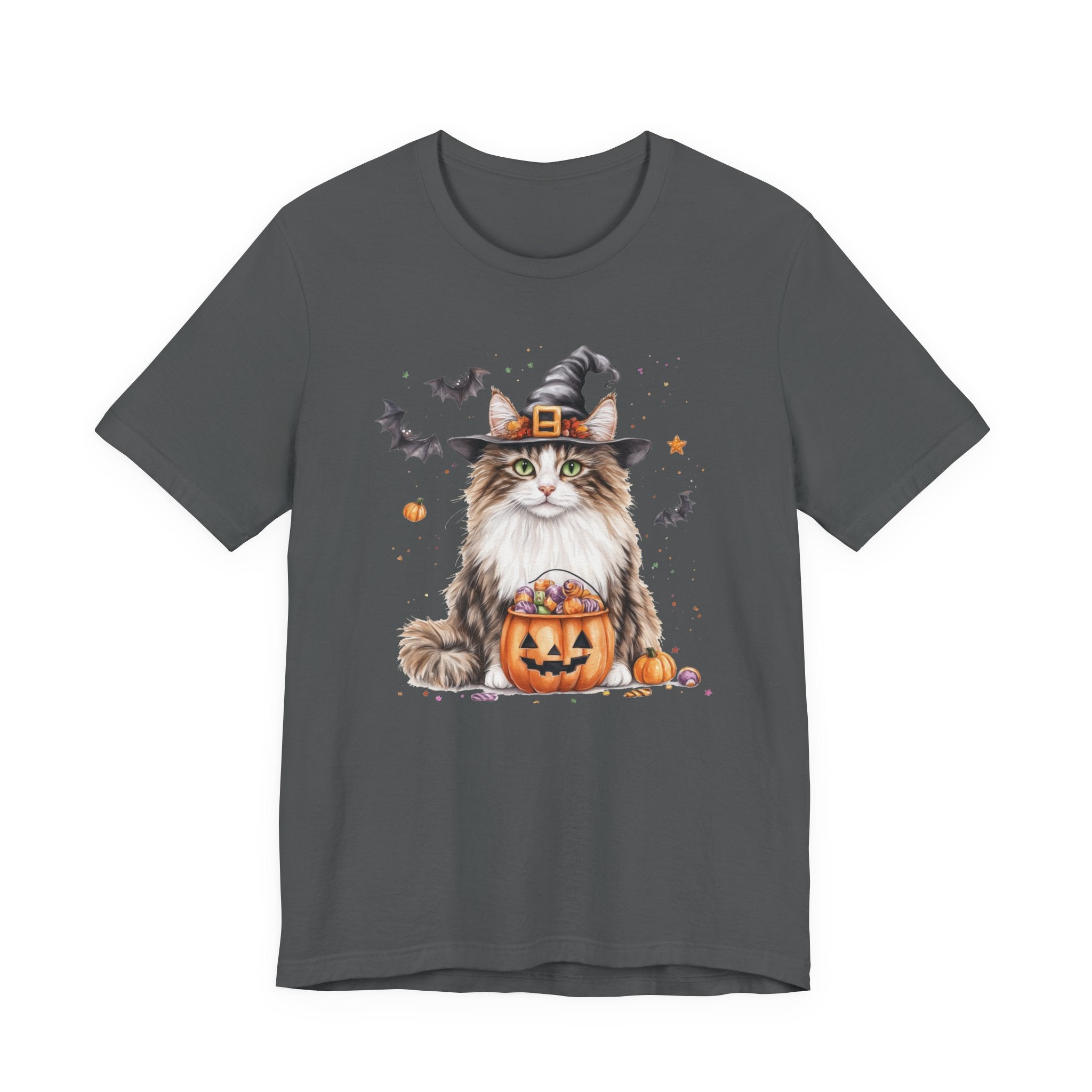 Longhair Tabby Cat Bewitched Tee
