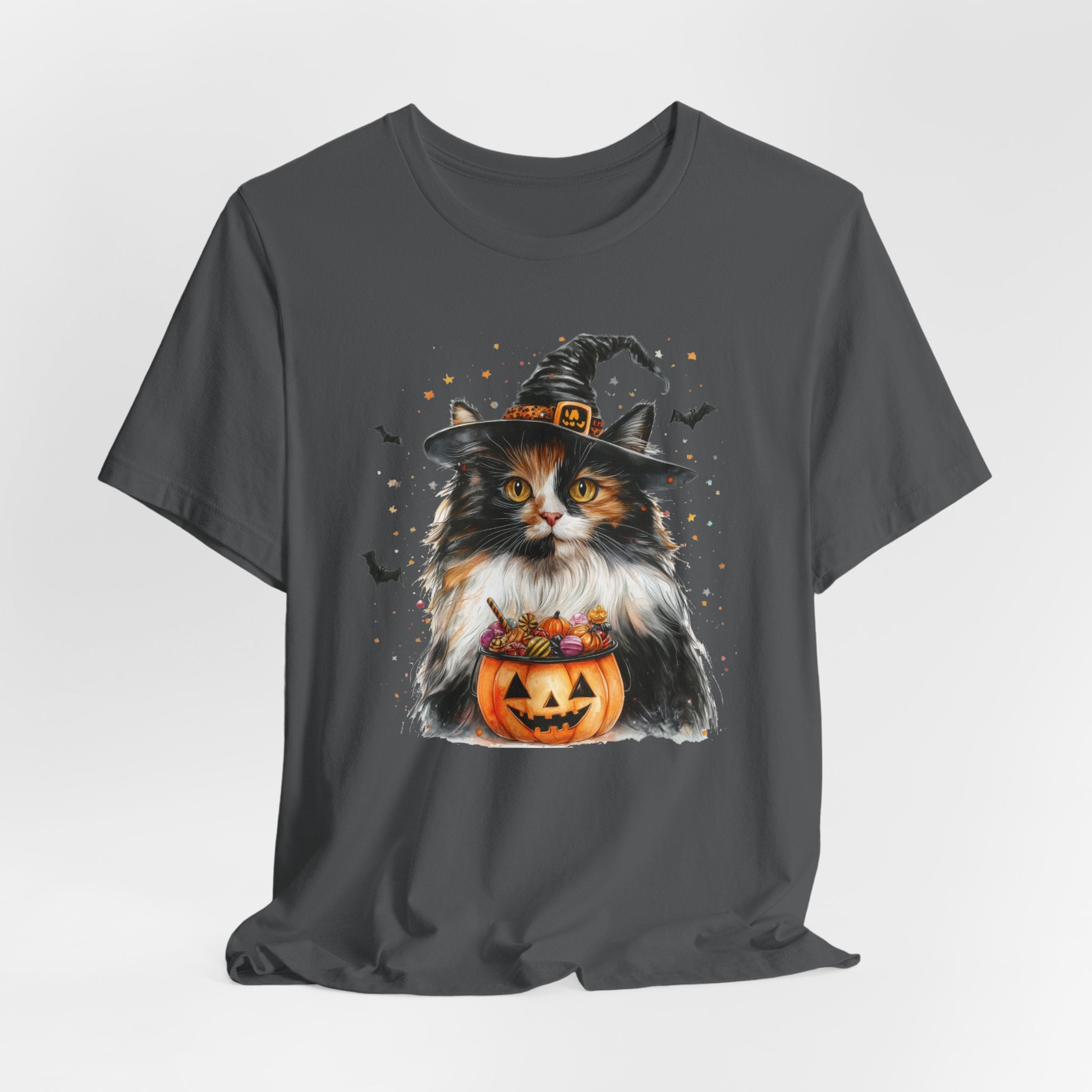Longhair Calico Cat Bewitched Tee