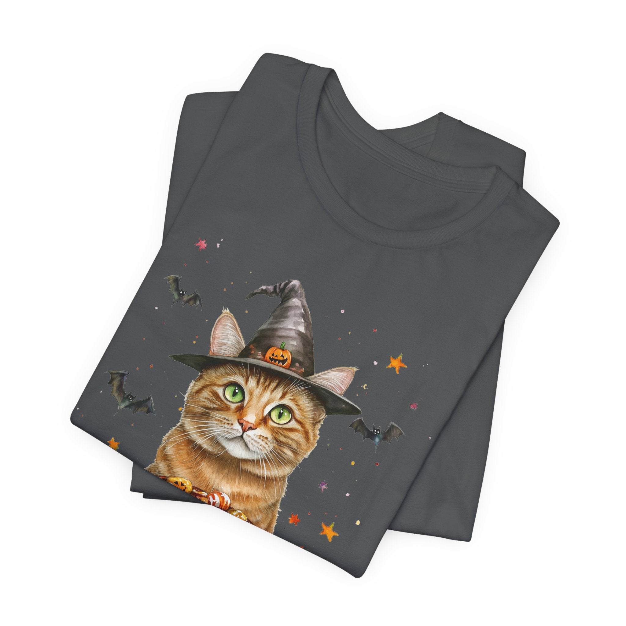 Shorthair Orange Tabby Cat Bewitched Tee