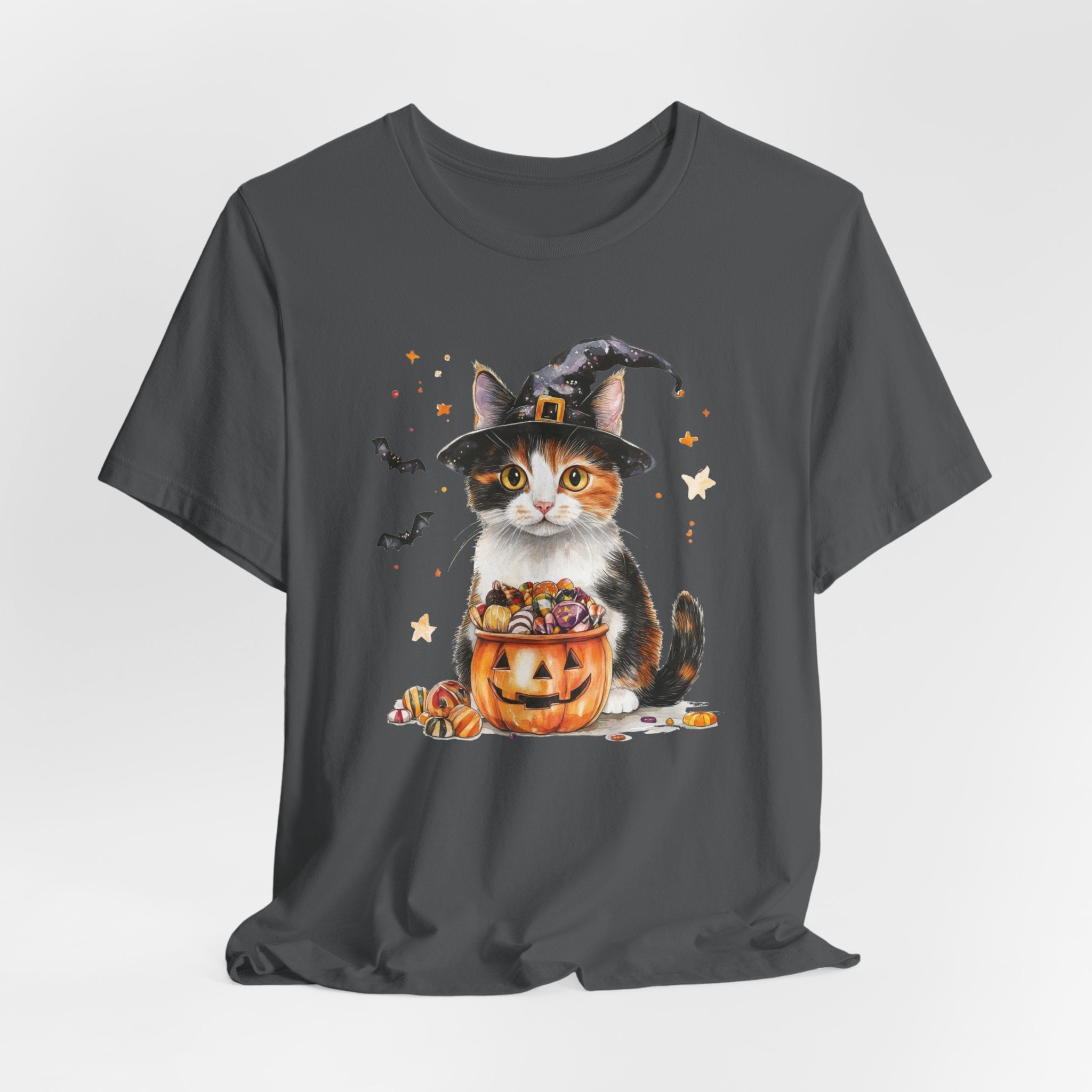 Shorthair Calico Cat Bewitched Tee