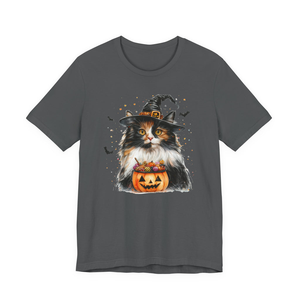 Longhair Calico Cat Bewitched Tee