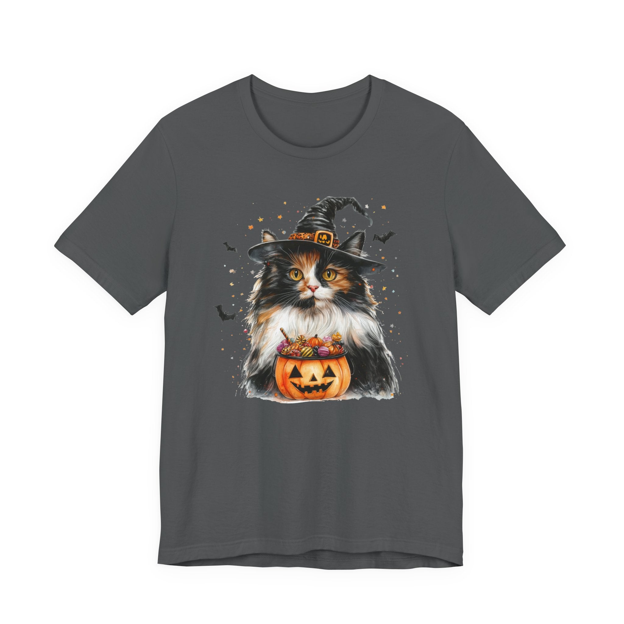 Longhair Calico Cat Bewitched Tee