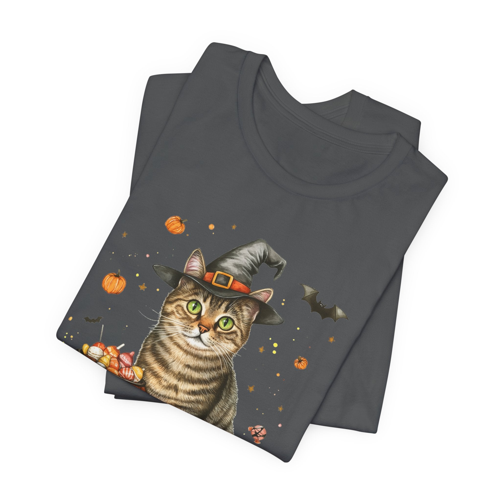 Shorthair Grey Tabby Cat Bewitched Tee