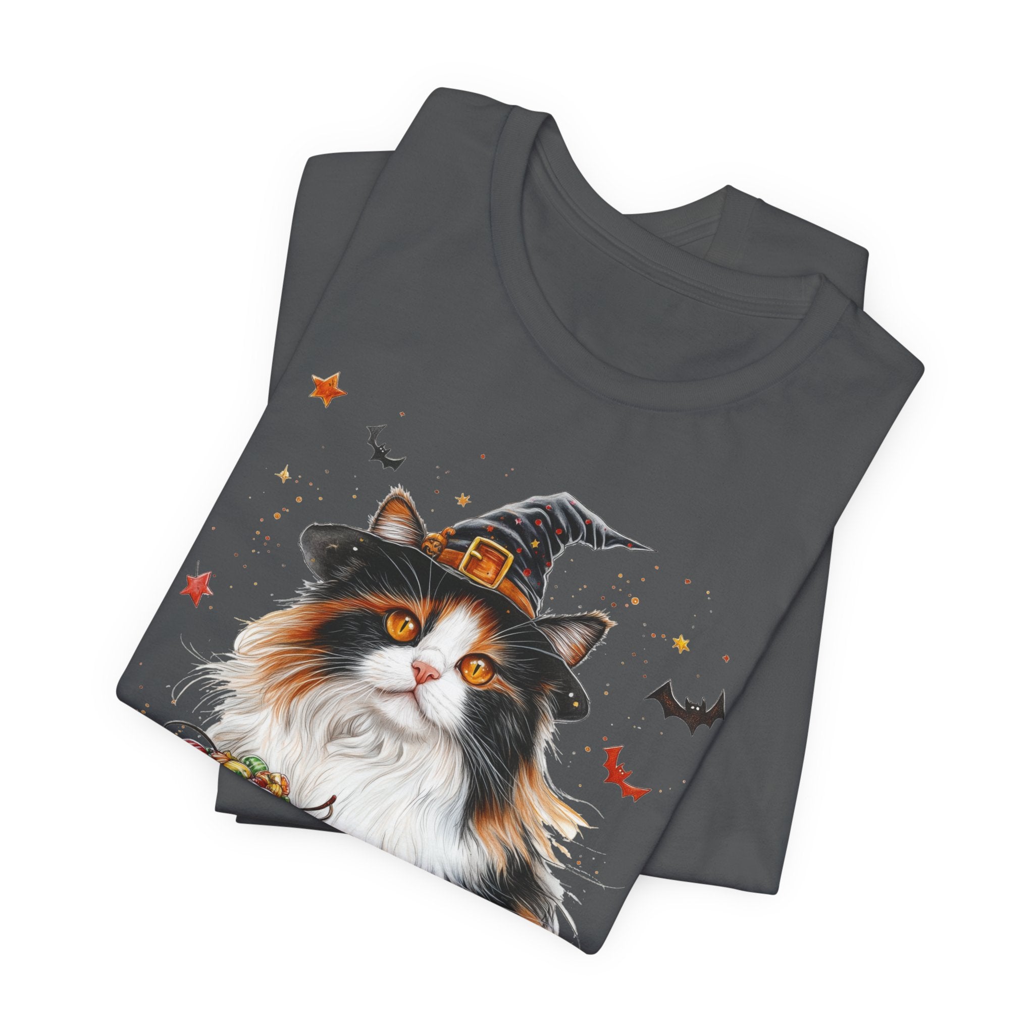 Longhair Calico Cat II Bewitched Tee