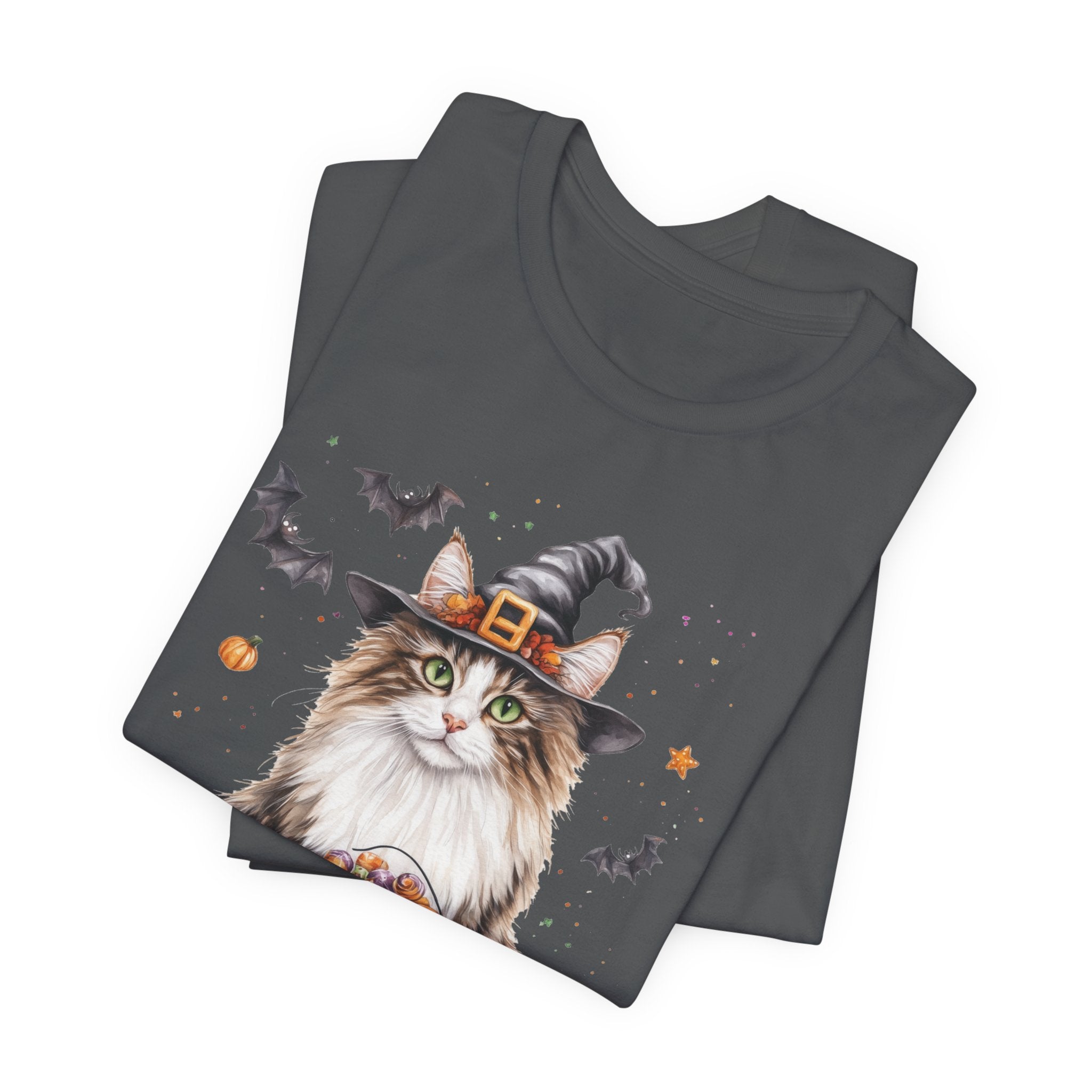 Longhair Tabby Cat Bewitched Tee