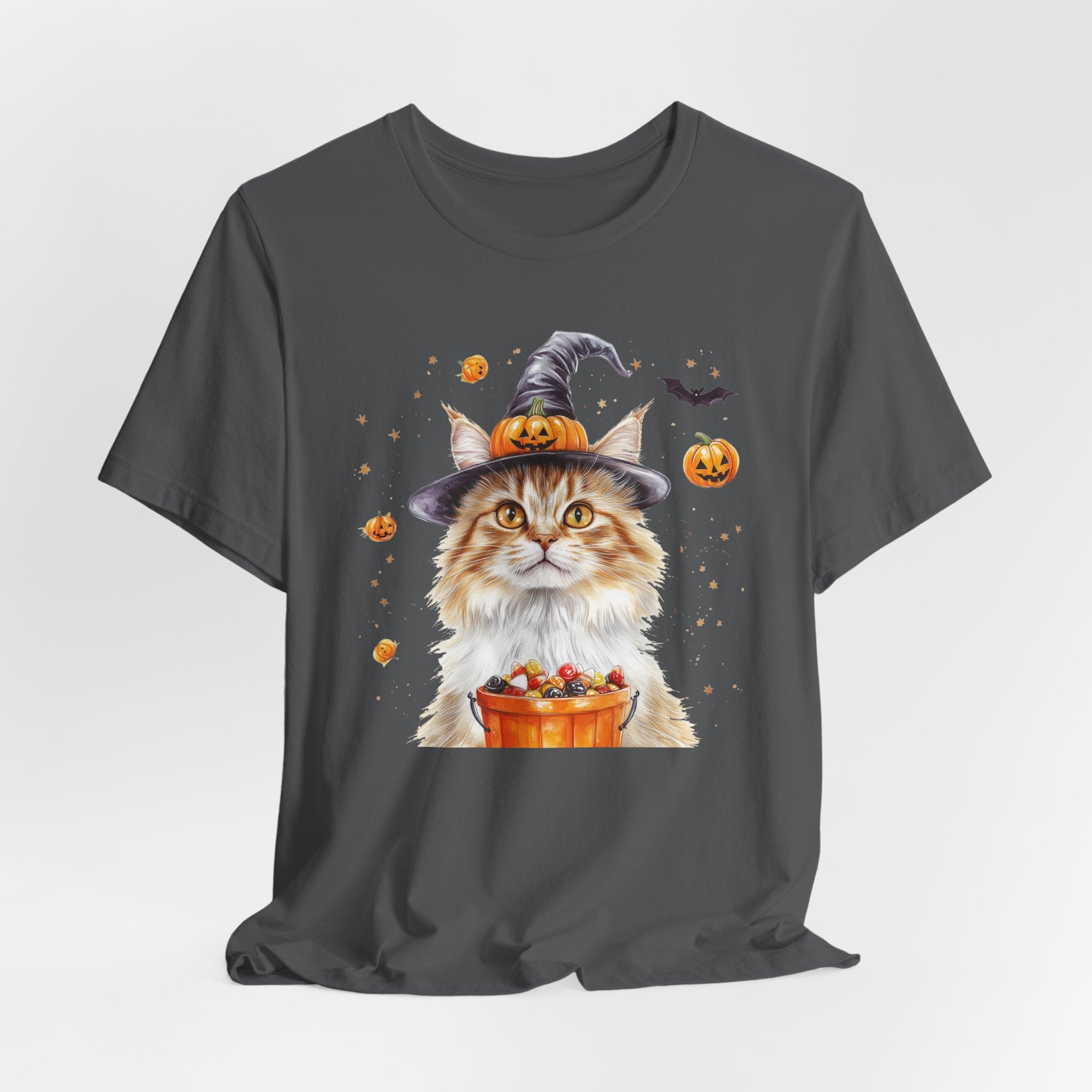 Longhair Orange Tabby Cat II Bewitched Tee