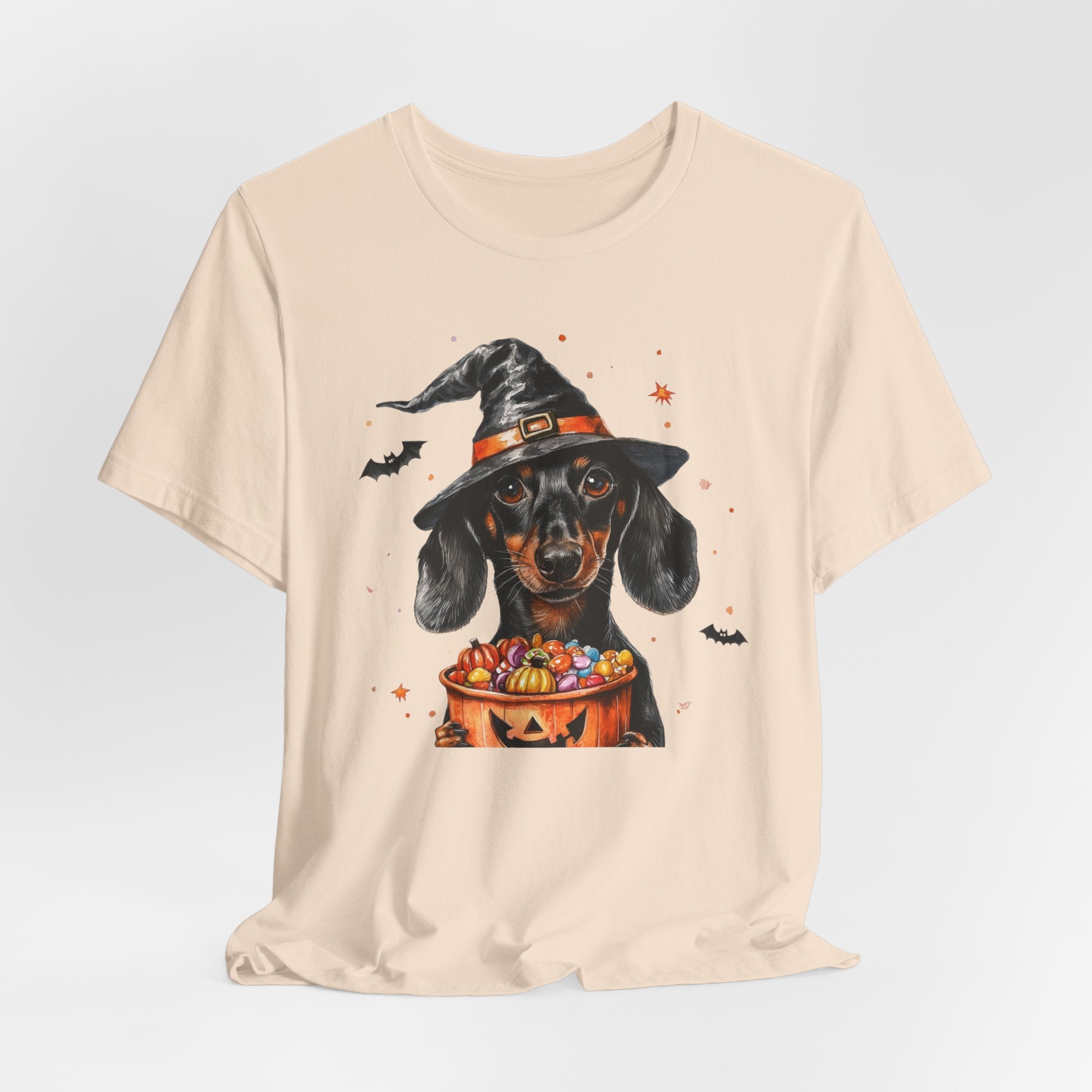 Black Dachshund Bewitched Tee