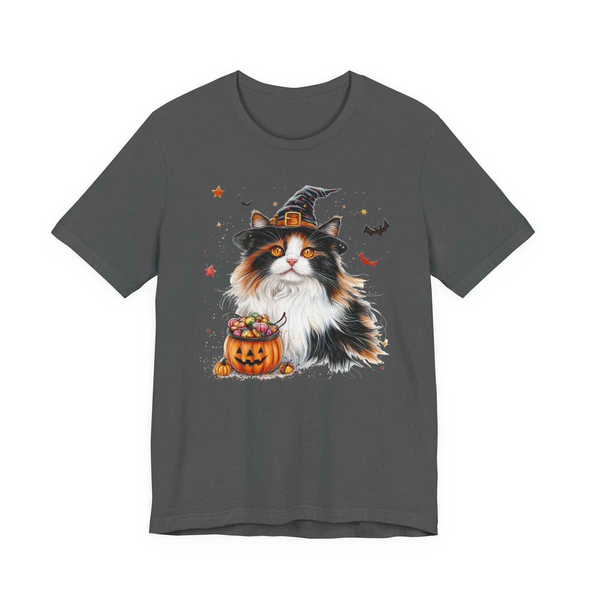 Longhair Calico Cat II Bewitched Tee