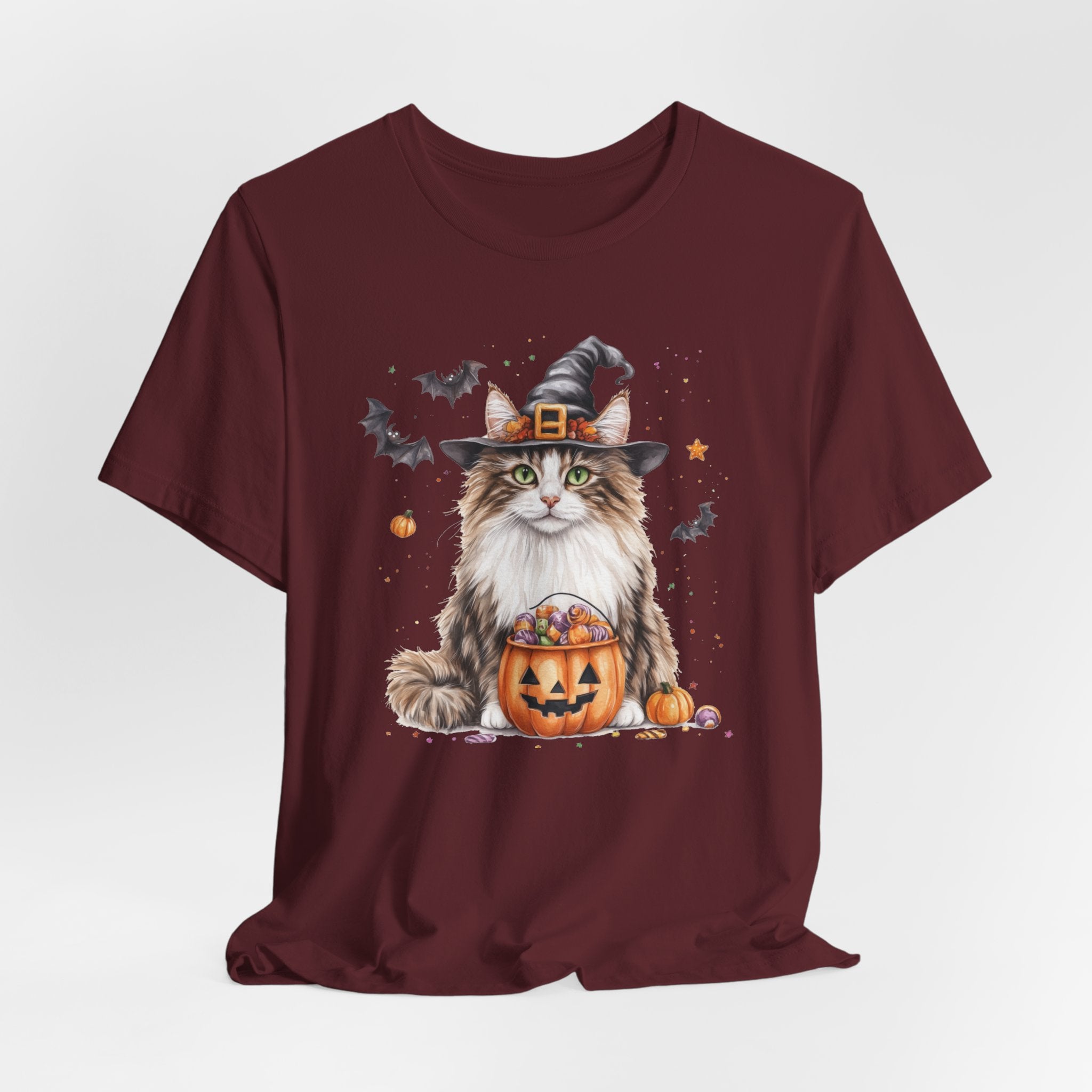 Longhair Tabby Cat Bewitched Tee