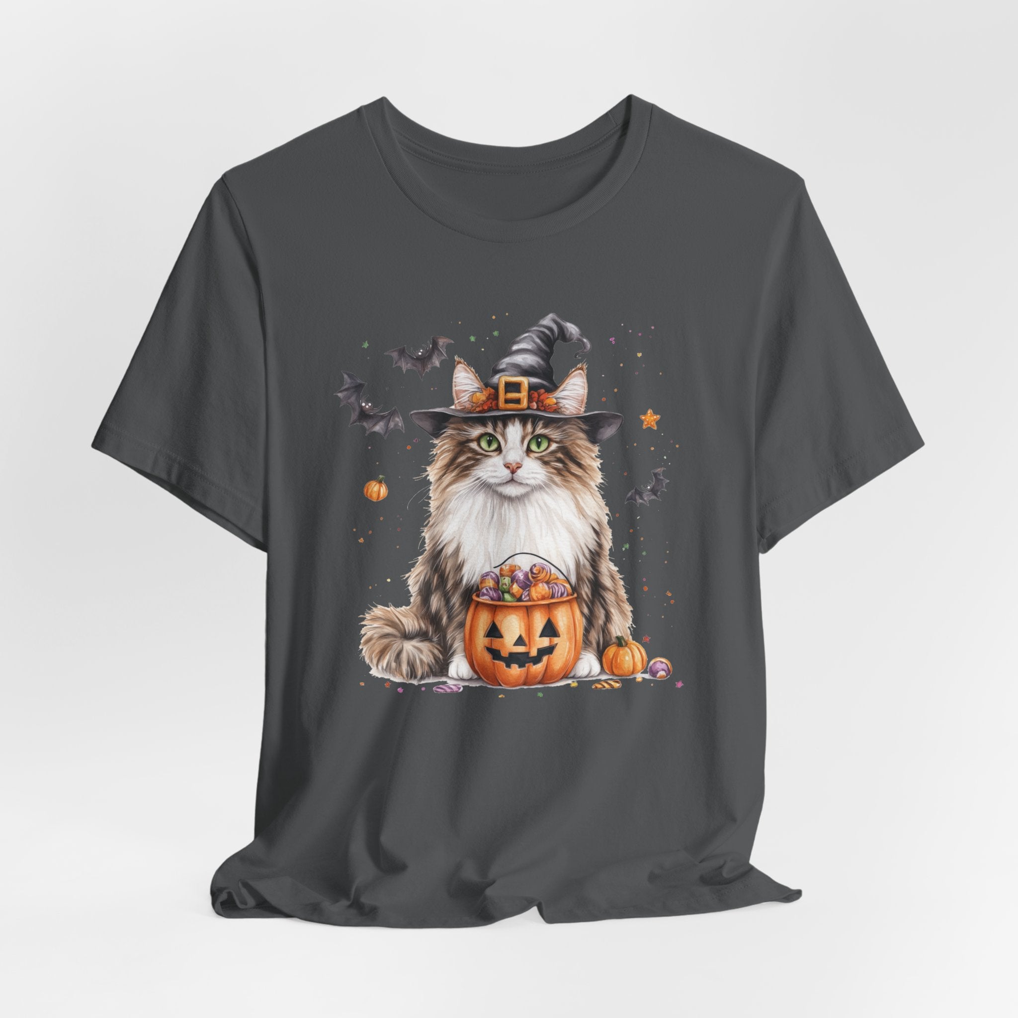Longhair Tabby Cat Bewitched Tee