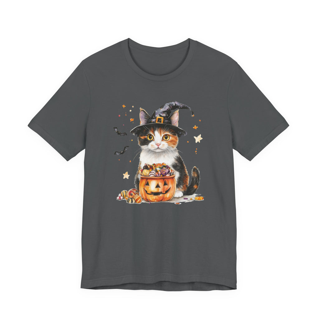 Shorthair Calico Cat Bewitched Tee