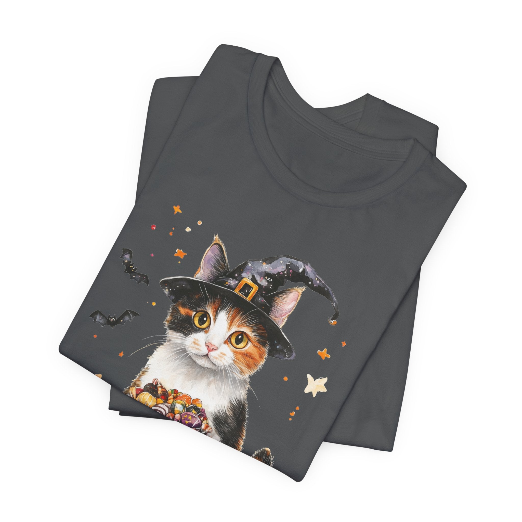 Shorthair Calico Cat Bewitched Tee