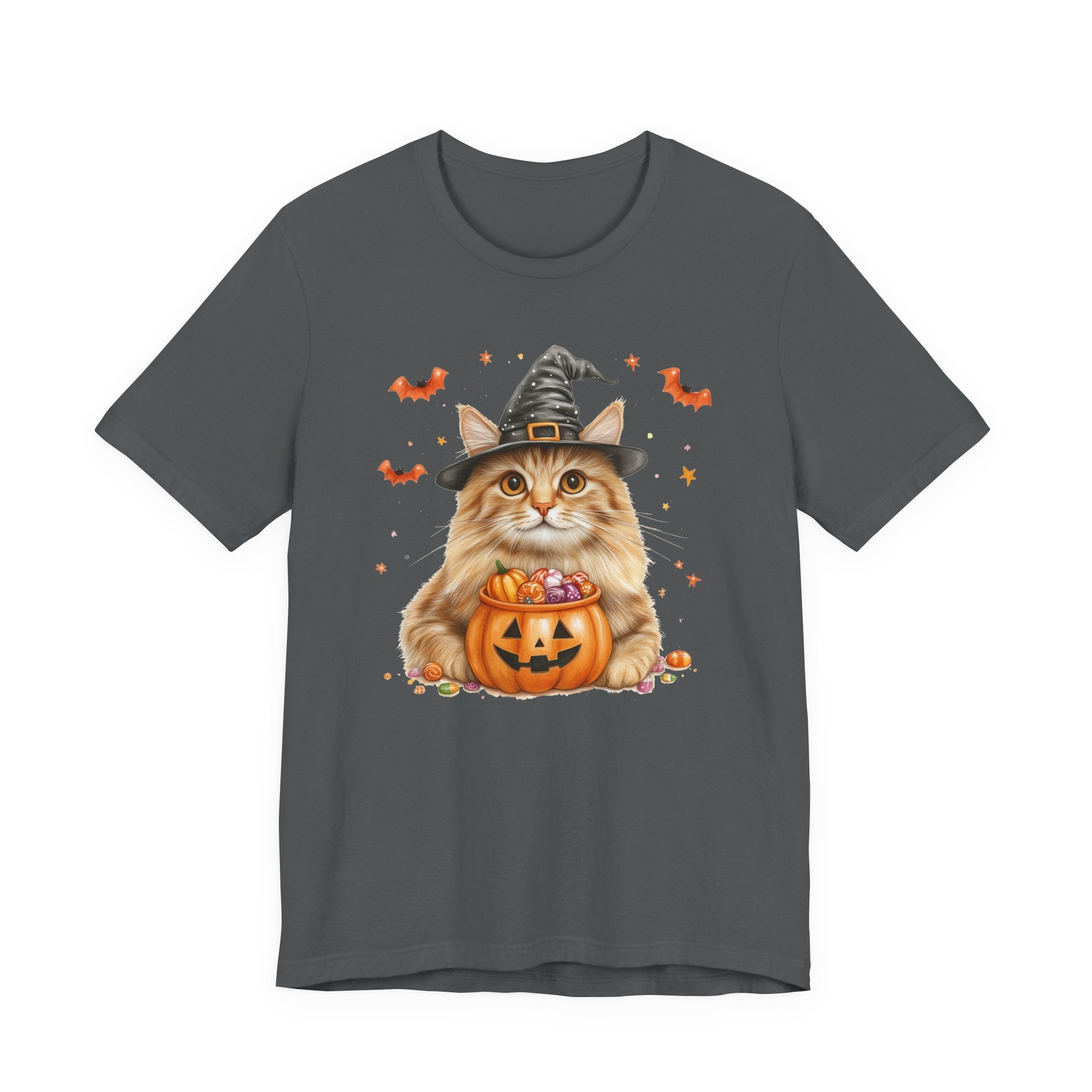 Longhair Orange Tabby Cat Bewitched Tee