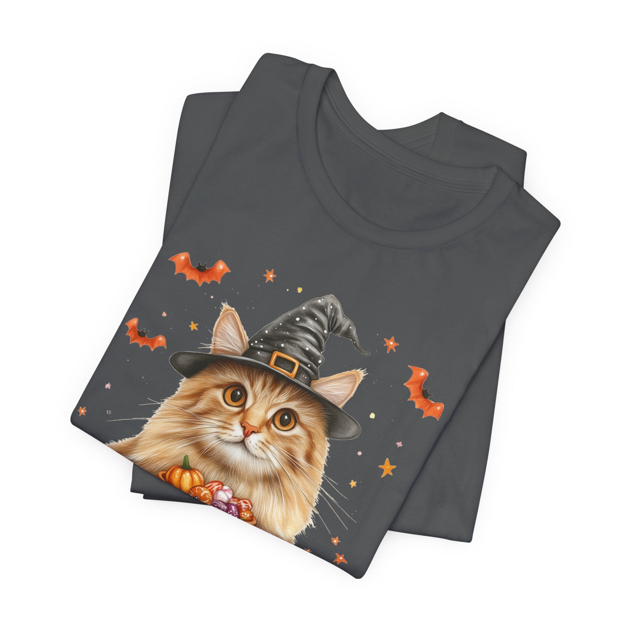 Longhair Orange Tabby Cat Bewitched Tee
