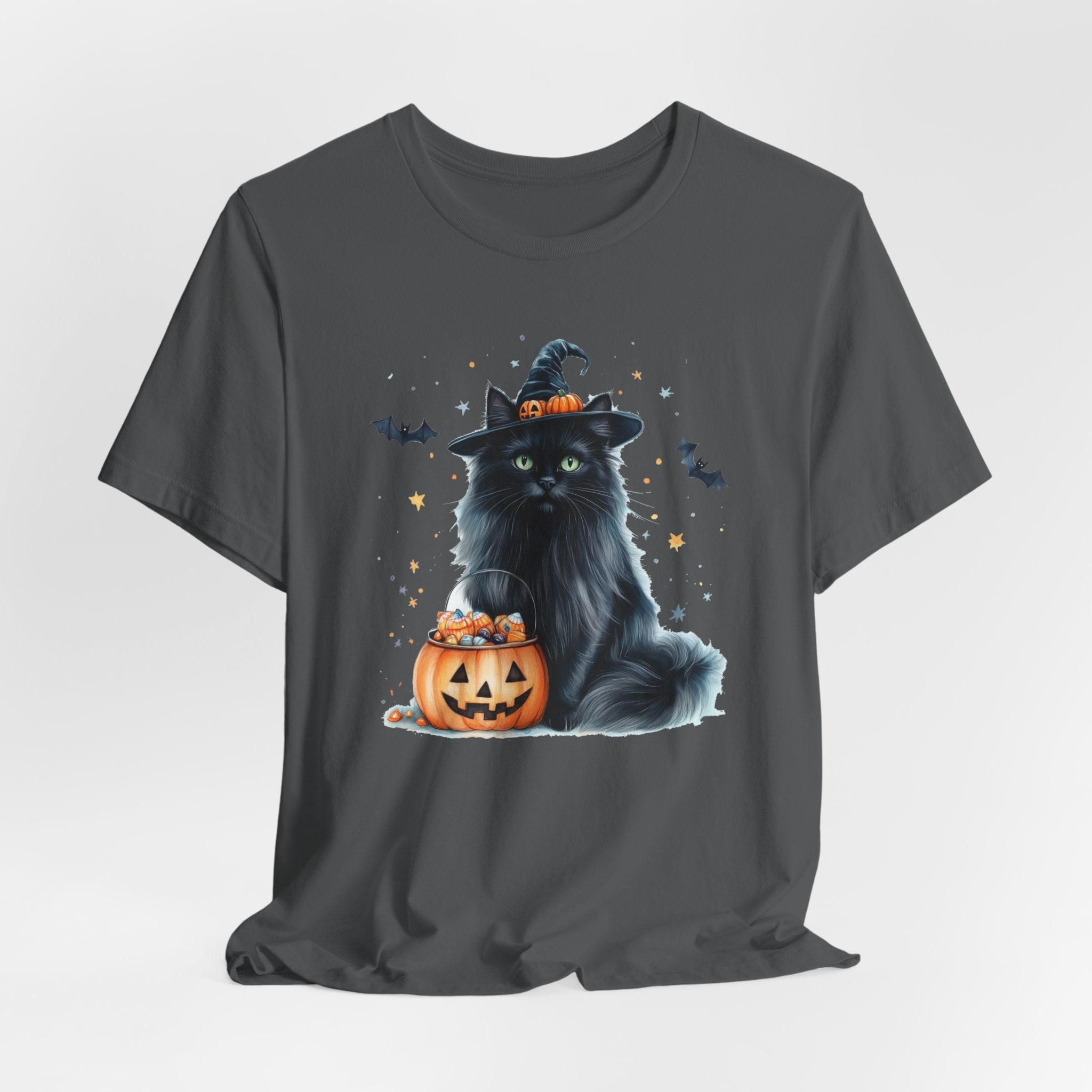 Longhair Black Cat Bewitched Tee