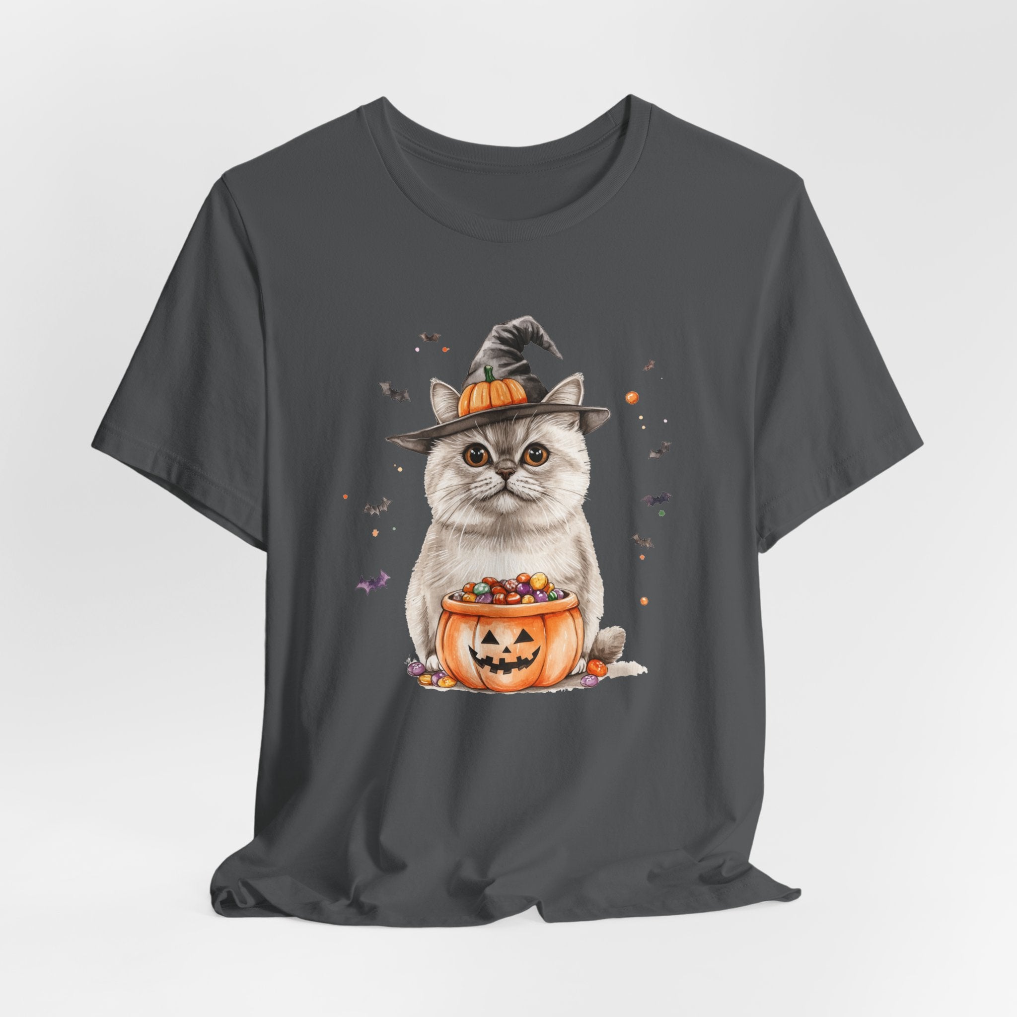 Scottish Straight Cat Bewitched Tee