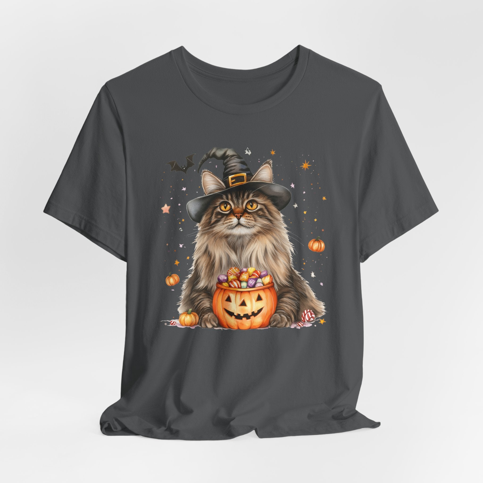 Maine Coon Cat Bewitched Tee