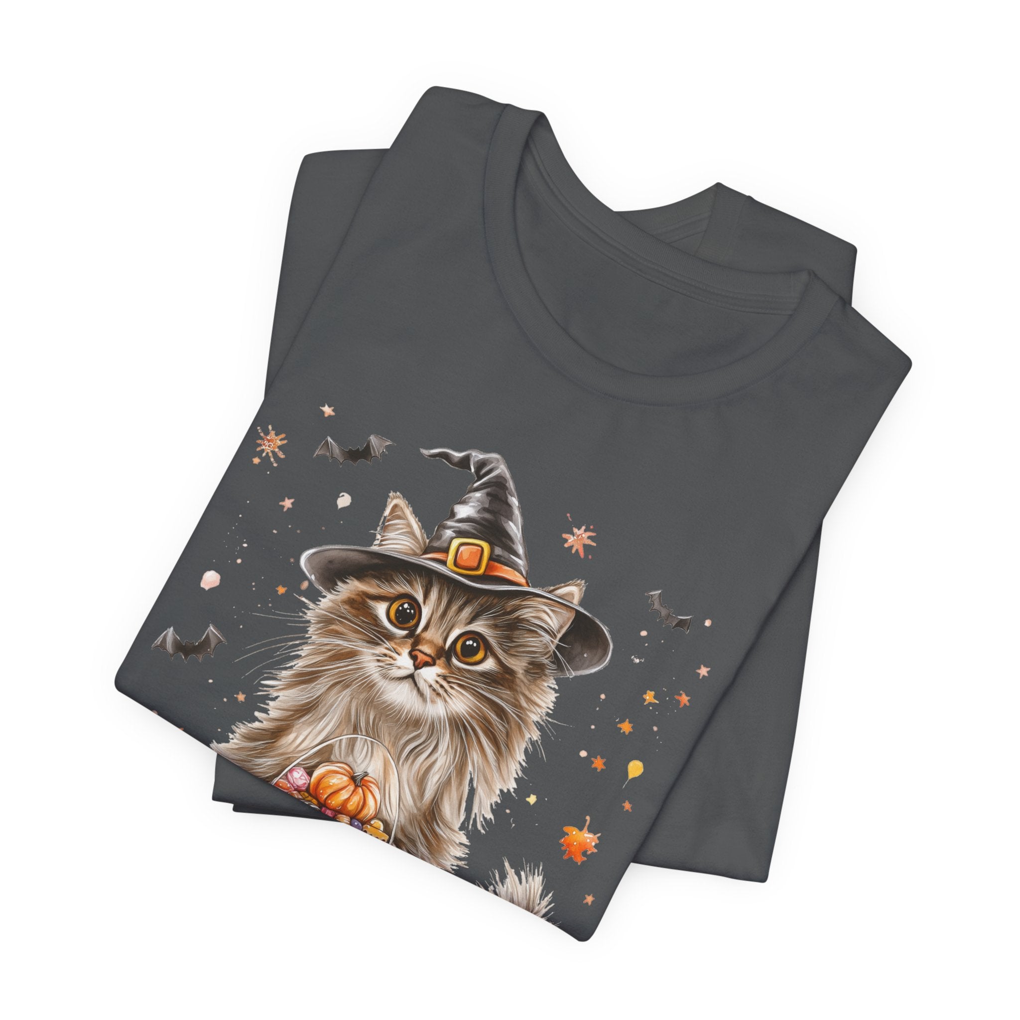 Longhair Grey Tabby Cat Bewitched Tee
