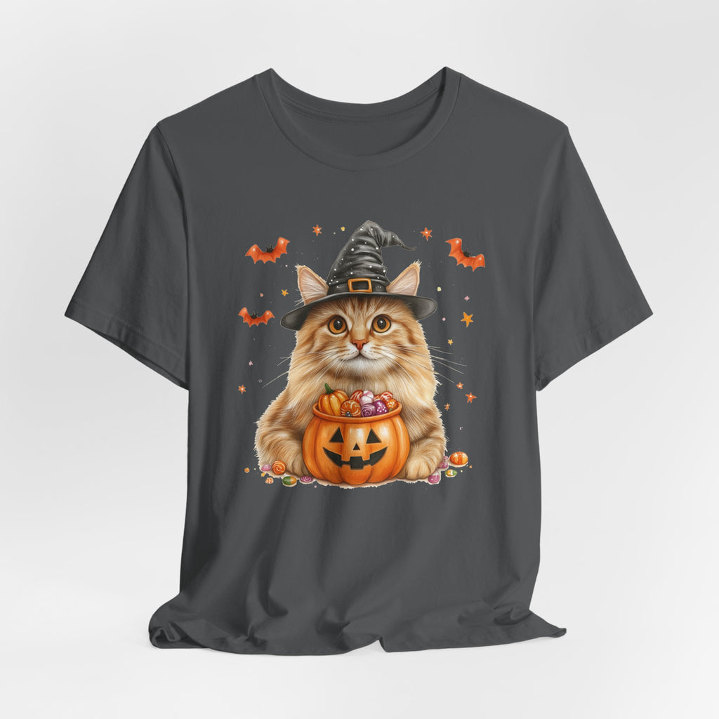 Longhair Orange Tabby Cat Bewitched Tee
