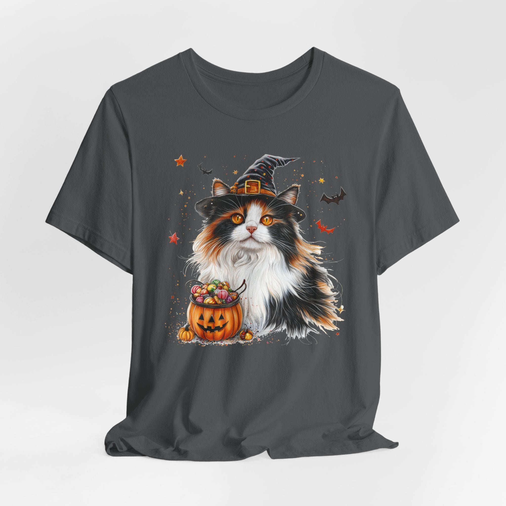 Longhair Calico Cat II Bewitched Tee