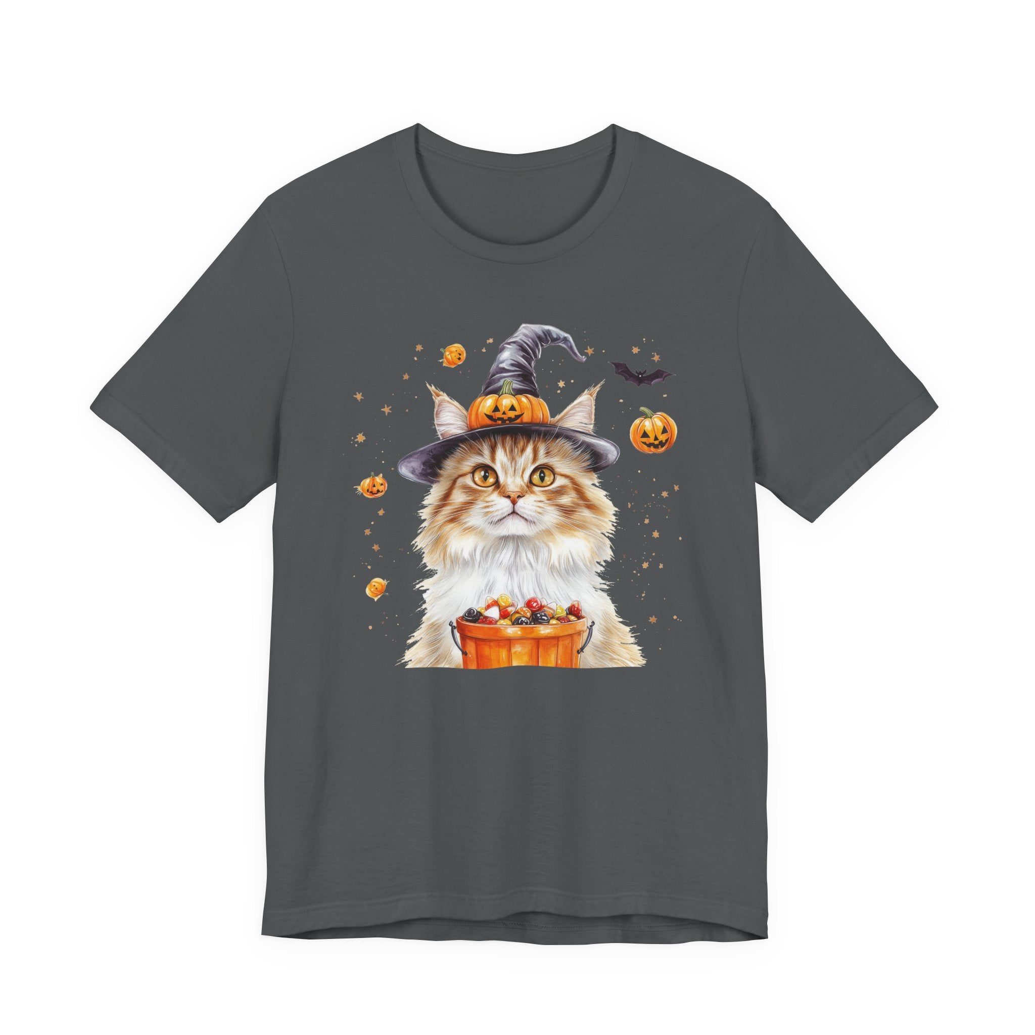 Longhair Orange Tabby Cat II Bewitched Tee