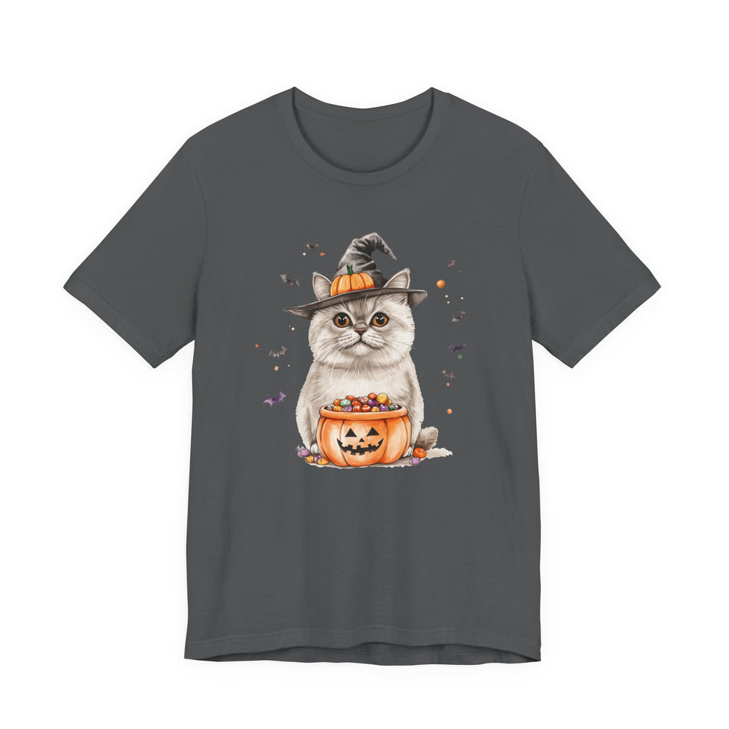 Scottish Straight Cat Bewitched Tee