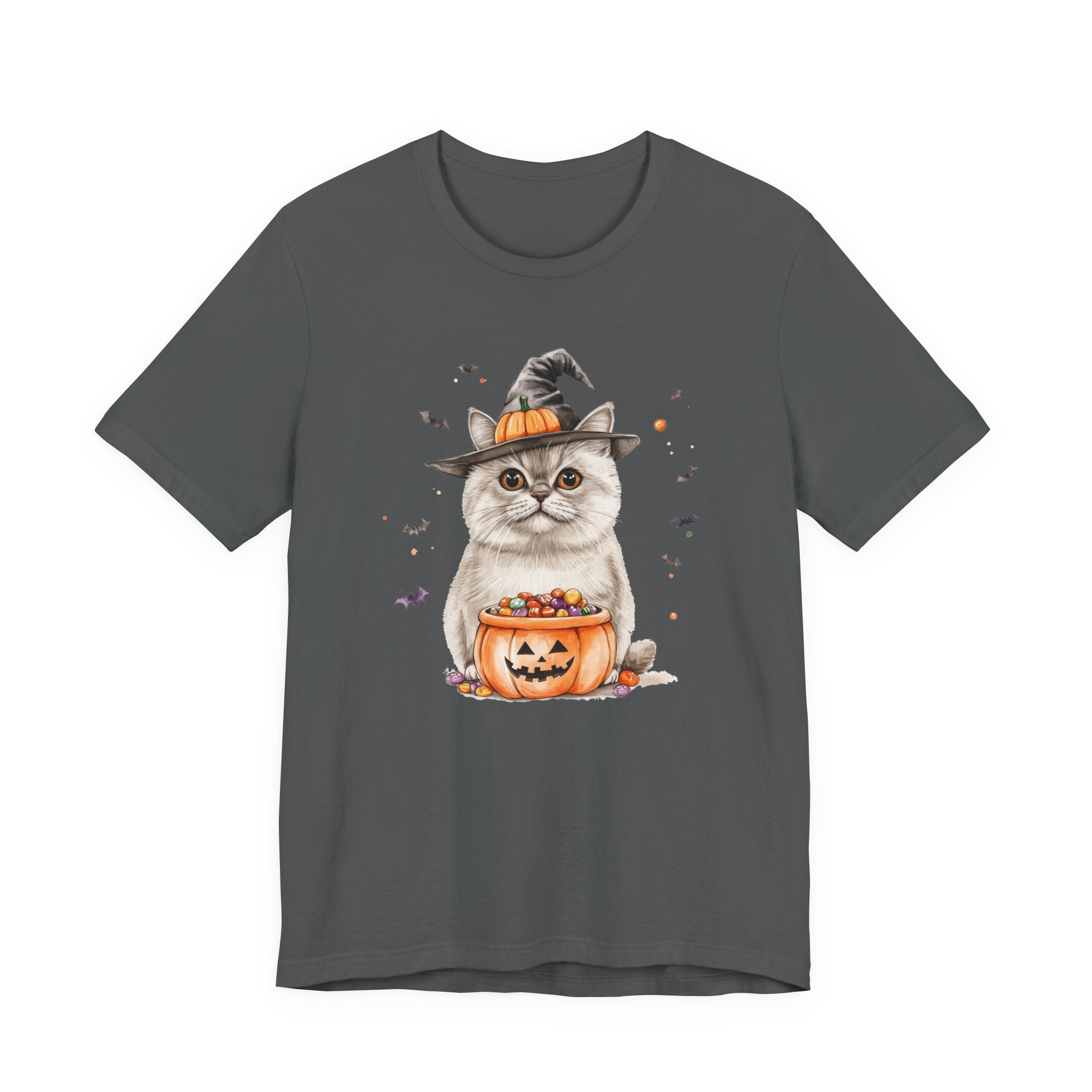 Scottish Straight Cat Bewitched Tee