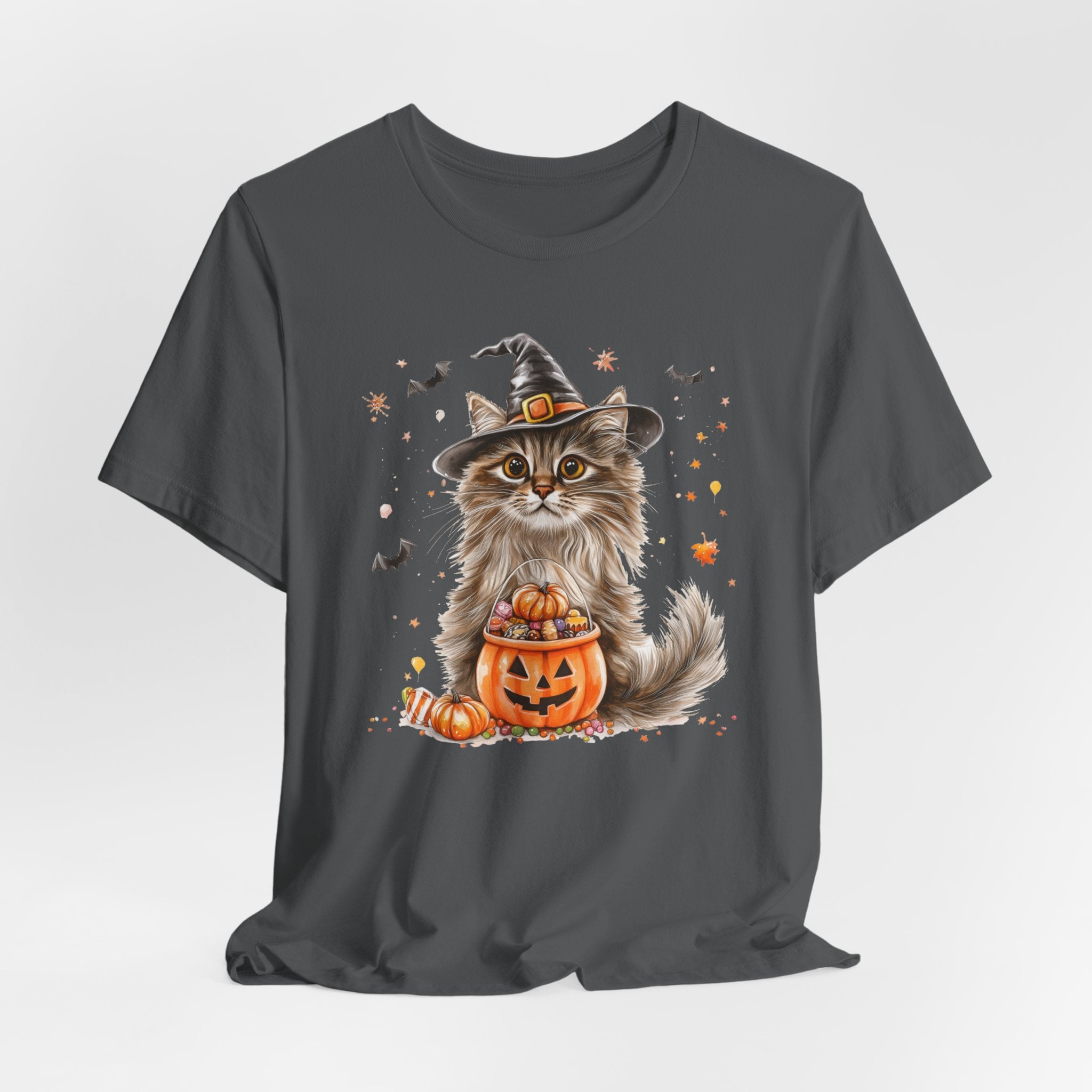 Longhair Grey Tabby Cat Bewitched Tee
