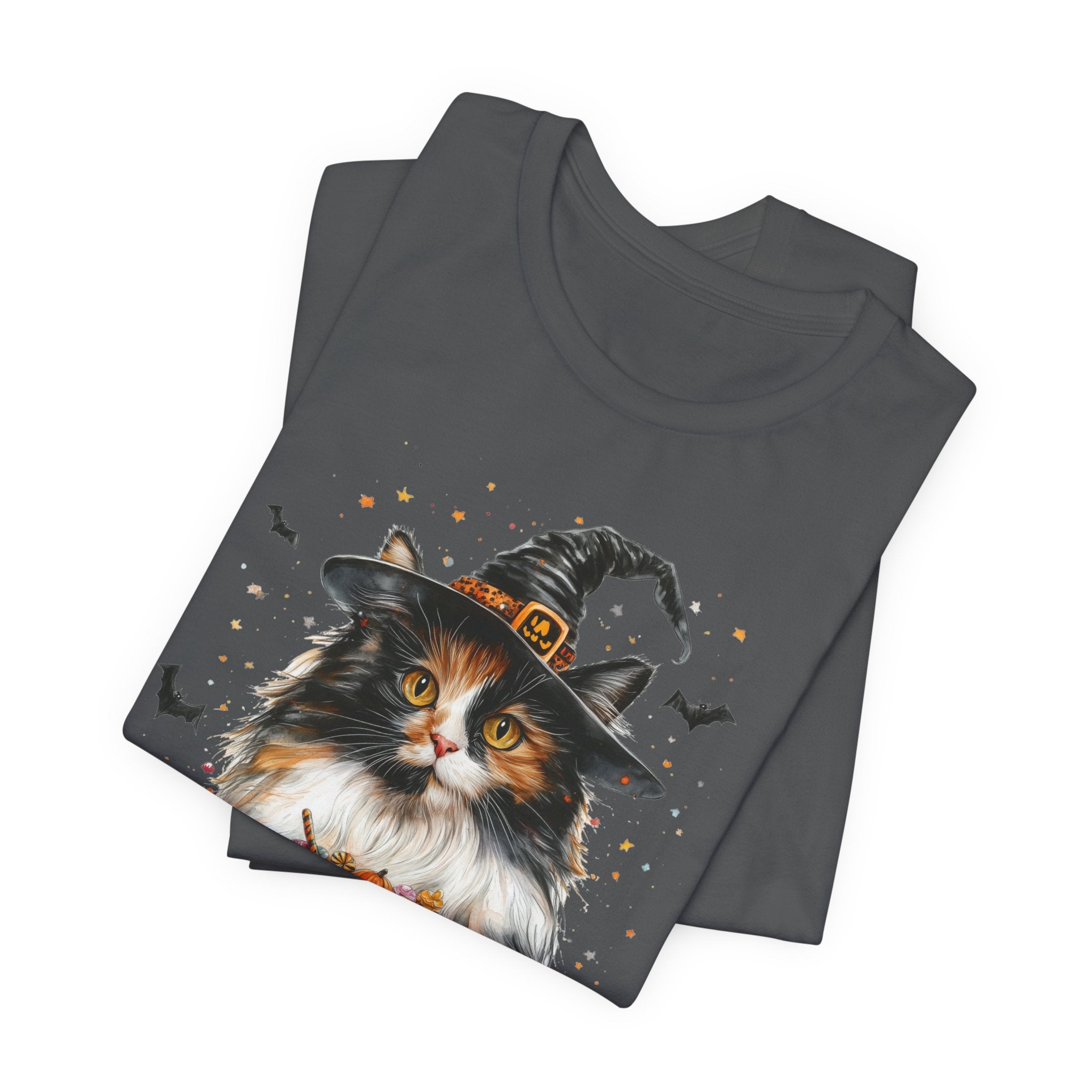 Longhair Calico Cat Bewitched Tee